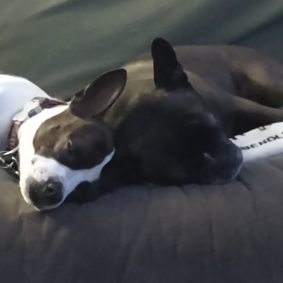 frenchtonmum3